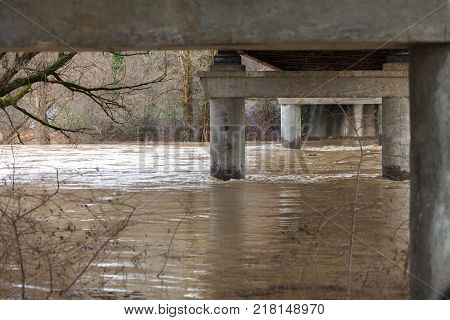 The river after the downpours came out of the banks. Flooding of river bank, trees after flood