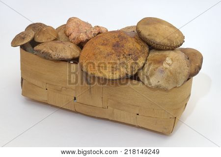 wicker basket full of fresh forest mushrooms. closeup