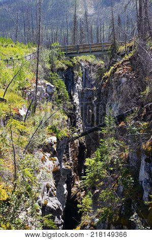 Foot bridge across Marble Canyon in Kootenay National Park British Columbia Canada near Banff. Vertical orientation.