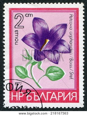 BULGARIA - CIRCA 1977: A stamp printed in the Bulgaria, shows a flower Petcovia orphanidea, circa 1977