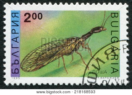 BULGARIA-CIRCA 1993: A stamp printed in the Bulgaria shows the insect Snakefly circa 1993