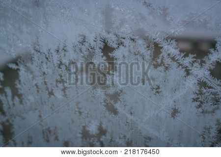 Frozen snow window