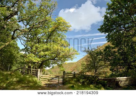 Badgworthy River in Doone Valley, Exmoor, North Devon