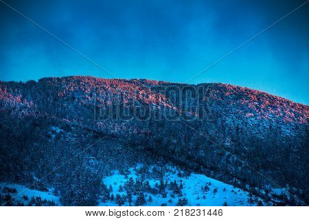 Beautiful mountains landscape, great mountain covered with pine trees forest and snow in pink sunrise light, beauty of nature in the morning in wintertime, Lebanon