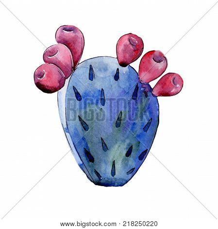 Wildflower cactus flower in a watercolor style isolated. Full name of the plant: cactus. Aquarelle wild flower for background, texture, wrapper pattern, frame or border.
