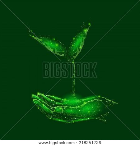 Low poly sprout plant in hand. Save ecology nature world concept. Low poly polygonal triangle particle point line. Green leaves glow help donation charity vector illustration art