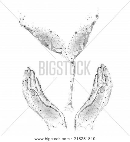 Low poly sprout plant in hand. Save ecology nature world concept. Low poly polygonal triangle particle point line. Gray white leaves glow help donation charity vector illustration art