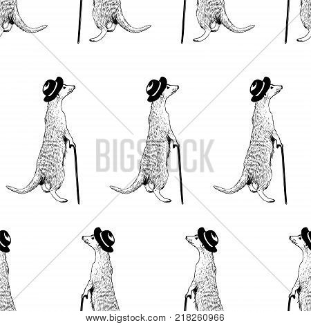 Seamless pattern - gentleman meerkat. Vector hand drawn illustration