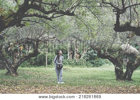 Tourist Use Smart Phone To Take Selfie Picture In Apricot Tree Orchard. People, Travel, Nature Conce