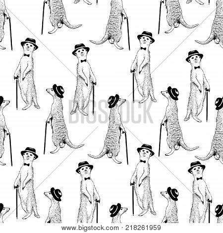 Seamless pattern - gentleman meerkat. Vector hand drawn illustration