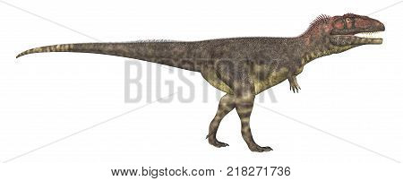 Computer generated 3D illustration with the dinosaur Mapusaurus isolated on white background