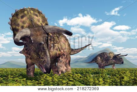 Computer generated 3D illustration with the dinosaur Nasutoceratops