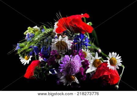 Beautiful, colorful summer bouquet isolated on black background.