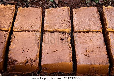 Freshly made mud bricks
