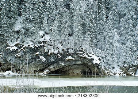 wooded limestone cliff on the shore of a frozen winter river in cloudy weather