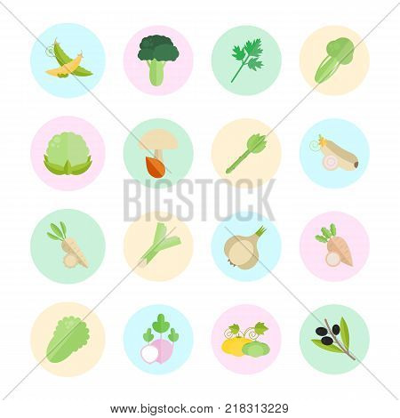 Set vector illustration of vegetables. Flat elements with color round backdrops on white background