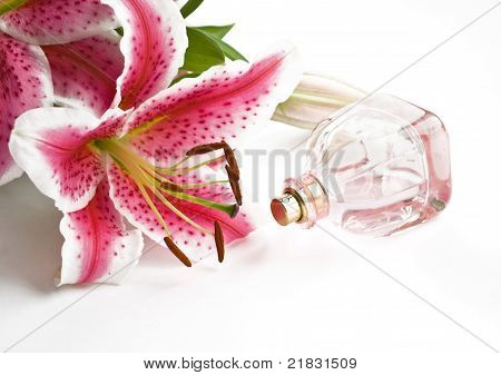 Aroma