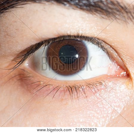Brown girl eye. close-up . Photos in the studio