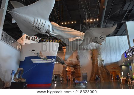 DRAPER, UT - AUG 29: Loveland Living Planet Aquarium in Draper, Utah, as seen on Aug 29, 2017. It currently houses 4,500 animals representing 550 species.