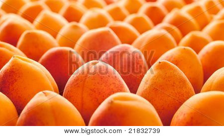 Aprikose Frucht