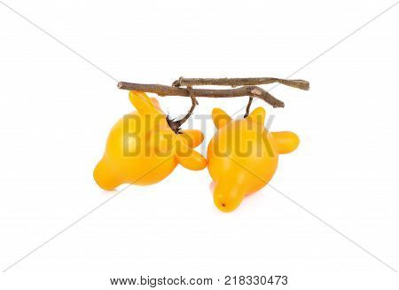 ripe nipplefruit with stem isolated on white background