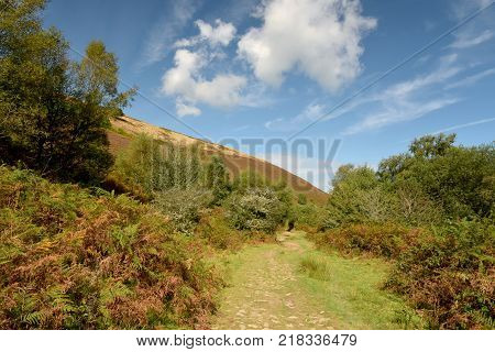 Path in Doone Valley, Exmoor, North Devon