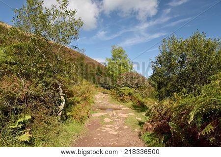 Path in Doone Valley, Exmoor, North Devon