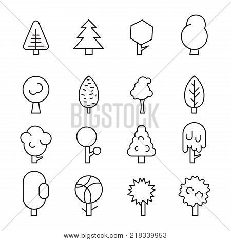 Set forest trees, evergreens coniferous trees and pine isolated on white background vector illustration. Black and white forest trees vector image
