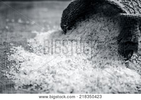 Raw Organic Rice,oryza Sativa, Coming Out From A Gunny Bag.