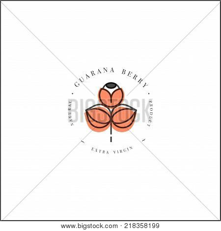 Vector design element and icon in linear style - guarana berry - healthy eco food. Organic ingredient. Detox and weightloss supplements. Logo sign