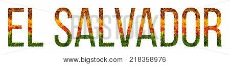 El Salvador. word is written with leaves white isolated background, banner for printing, creative of color leaves El Salvador