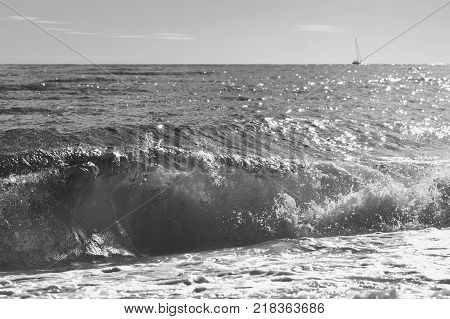 black-and-white photo of a large wave on the sea