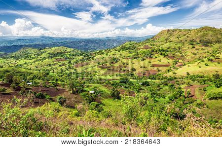 View of the Bonga forest reserve in southern Ethiopia