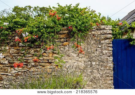 The facade of the house with crick wall blue door and red and orange flowers