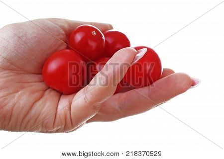 Woman hand holding tomato little tomatoes on isolated white cutout background. Studio photo with studio lighting easy to use for every concept.