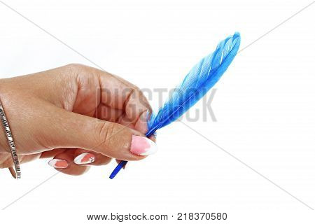 Woman hand holding blue bird feather on isolated white cutout background. Studio photo with studio lighting easy to use for every concept. Blue bird feather.