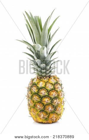 Pineapple in white studio background. Sweet delicious mellow tropical fruit. Full whole yellow pineapple. Fruit.