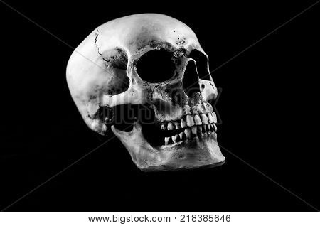 Human skull isolated on black background, in black and white.