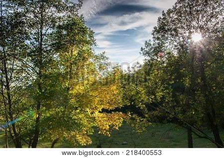 Autumn sunset, the rough sunlights breaks through the woods.
