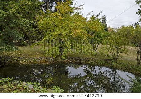 Forest and lake with reflection in National monument of landscape architecture Park museum Vrana in former time royal palace on the outskirts of Sofia, Bulgaria, Europe