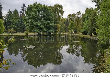 Forest, lake with reflection and water lily in National monument of landscape architecture Park museum Vrana in former time royal palace on the outskirts of Sofia, Bulgaria, Europe