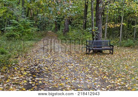 View toward forest, glade and wooden bench in National monument of landscape architecture Park museum Vrana in former time royal palace on the outskirts of Sofia, Bulgaria, Europe