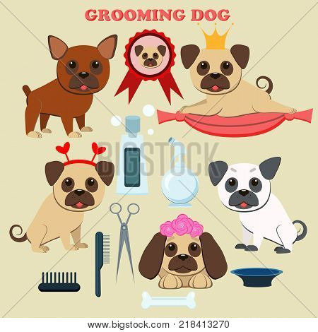 Dog grooming salon. Tools for grooming. Cute pug puppy and French bulldog.The grooming services elements. Vector illustration. Flat style.