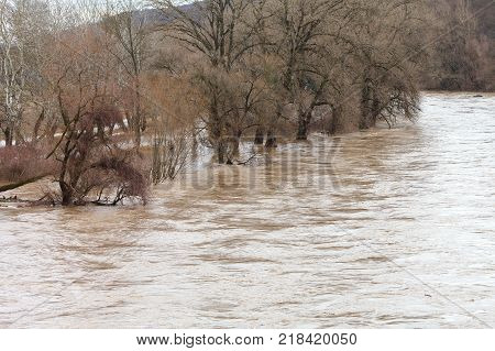 The river after the downpours came out of the banks. Flooding of river bank, trees after flood