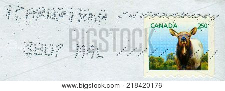 GOMEL, BELARUS, 13 DECEMBER 2017, Stamp printed in Canada shows image of The water deer (Hydropotes inermis) is a small deer superficially more similar to a musk deer than a true deer, circa 2017.