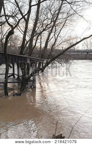 The river after the downpours came out of the banks. Flooding of river bank, trees after flood