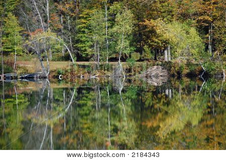 Pond_Reflection