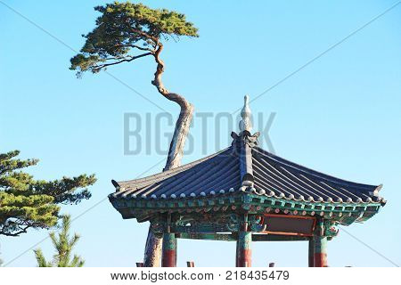 Naksansa temple with nature in South Korea