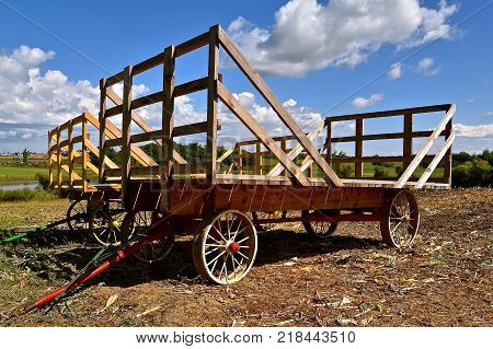 Several old hayracks for hauling wheat and oat bundles with steel wheels.