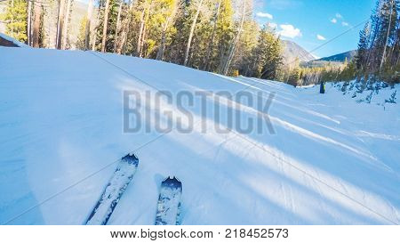 Alpine Skiing